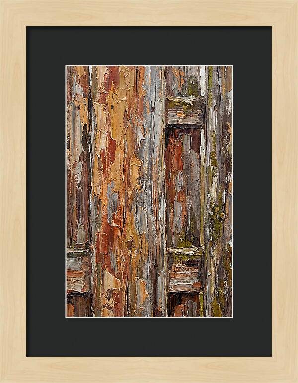 Weathered Wooden Fence 1