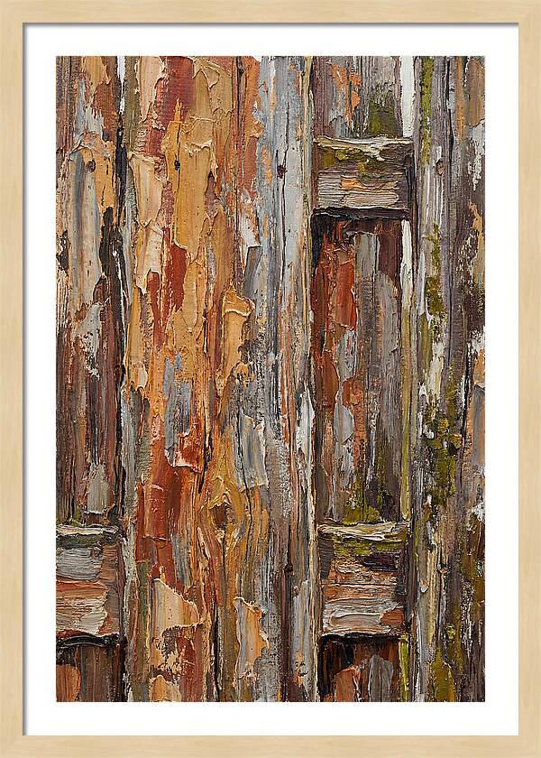 Weathered Wooden Fence 1