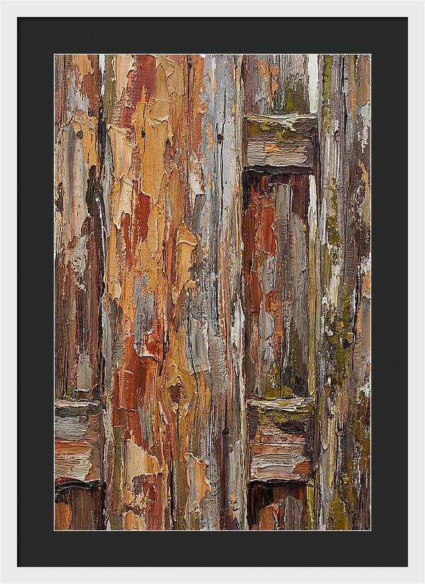 Weathered Wooden Fence 1