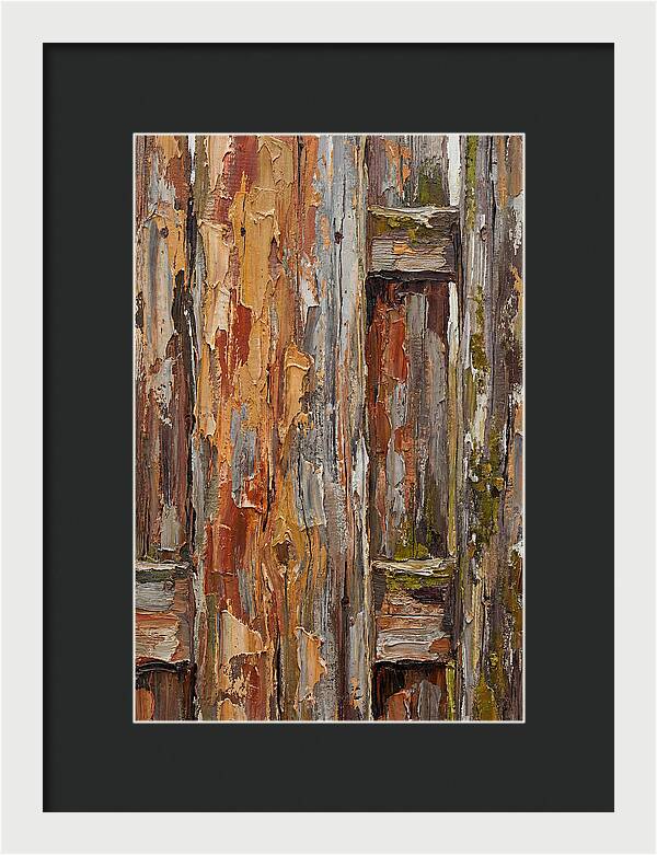 Weathered Wooden Fence 1