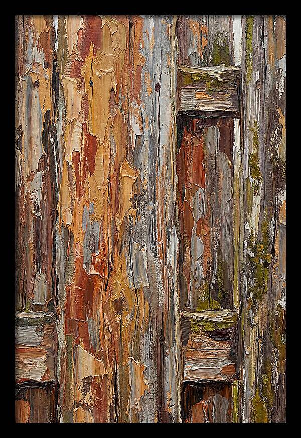 Weathered Wooden Fence 1