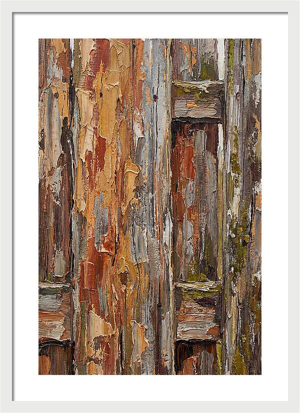 Weathered Wooden Fence 1