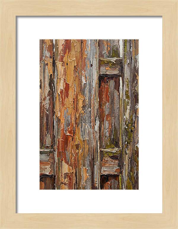 Weathered Wooden Fence 1