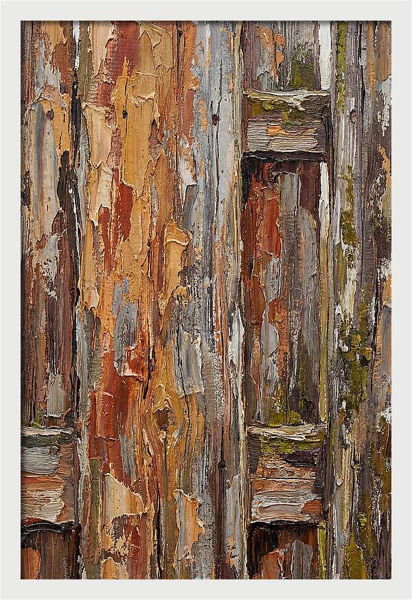 Weathered Wooden Fence 1