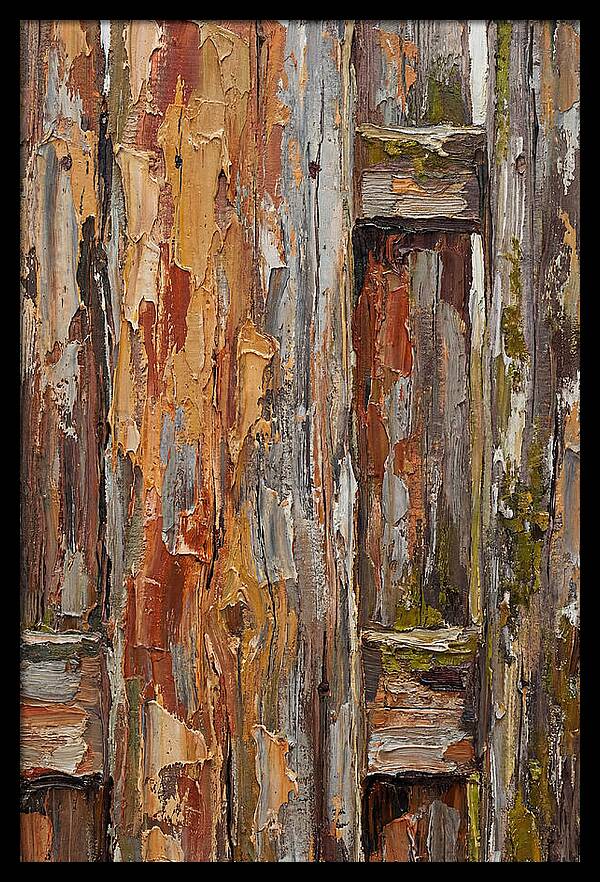 Weathered Wooden Fence 1