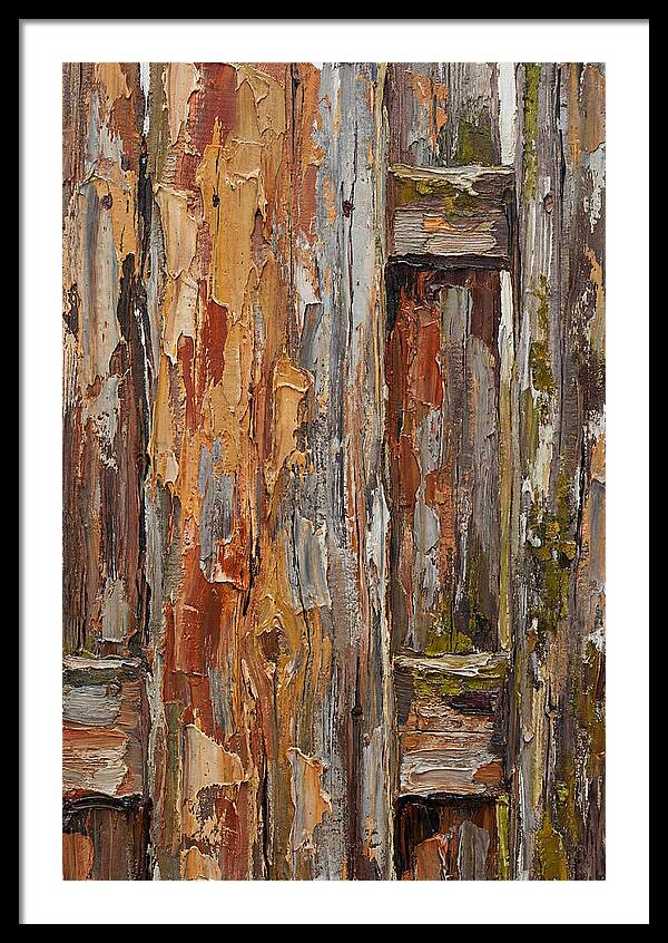 Weathered Wooden Fence 1