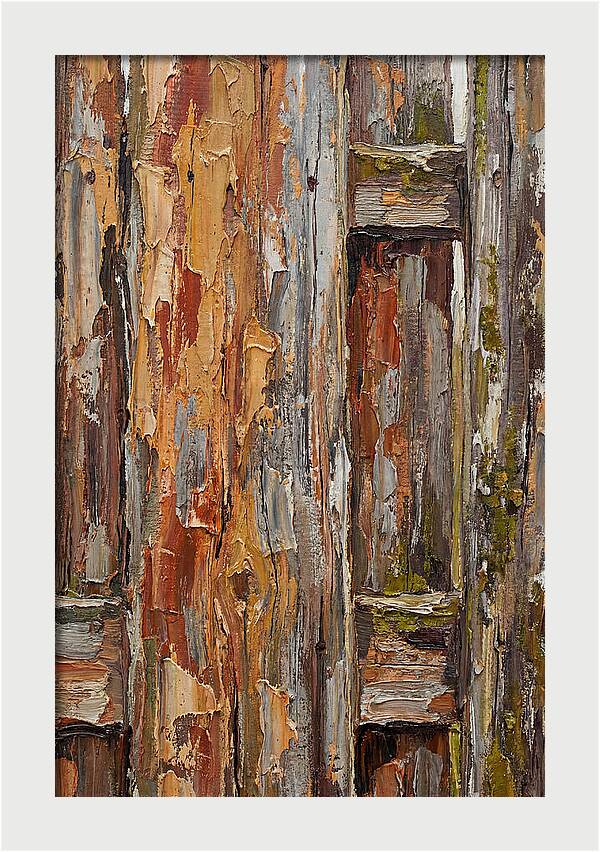 Weathered Wooden Fence 1