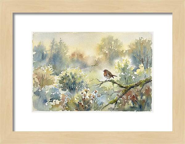 A Gentle Morning Melody