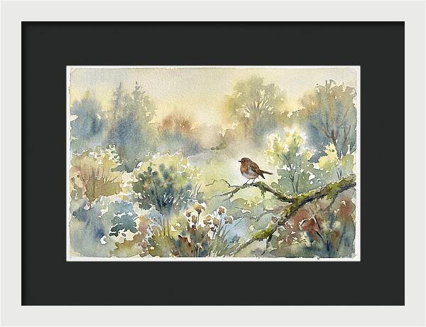 A Gentle Morning Melody