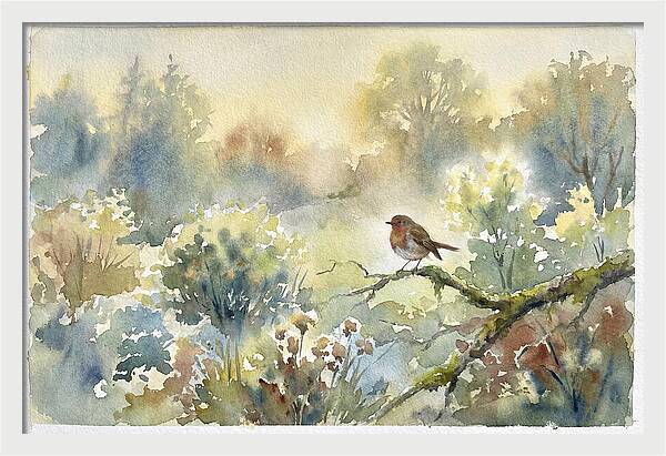 A Gentle Morning Melody