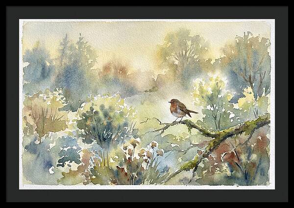 A Gentle Morning Melody