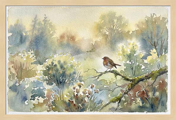 A Gentle Morning Melody