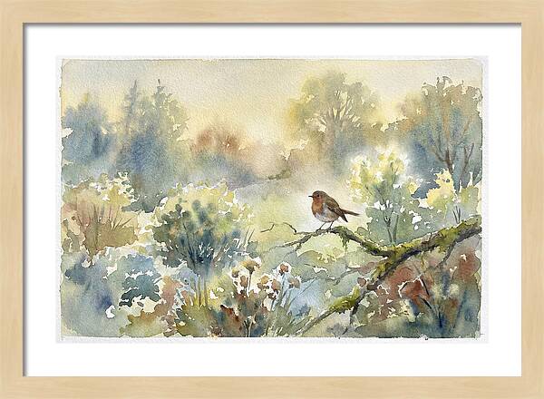 A Gentle Morning Melody