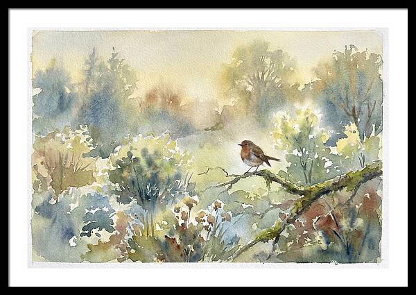 A Gentle Morning Melody