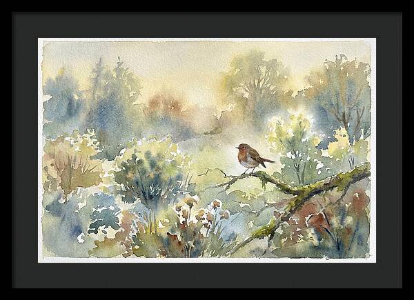 A Gentle Morning Melody