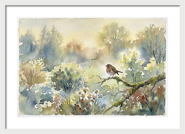 A Gentle Morning Melody