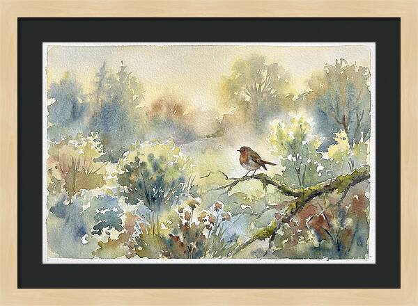 A Gentle Morning Melody