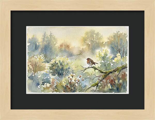 A Gentle Morning Melody