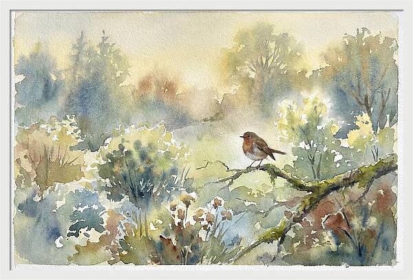 A Gentle Morning Melody