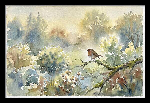 A Gentle Morning Melody