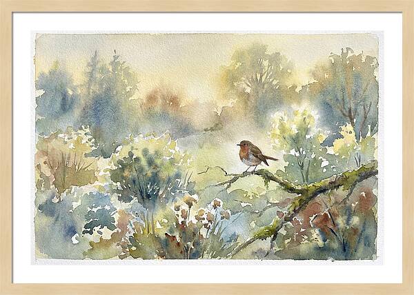 A Gentle Morning Melody