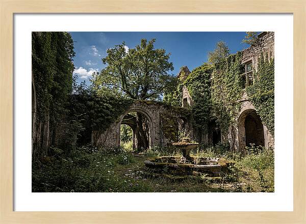 Abandoned Castle Courtyard