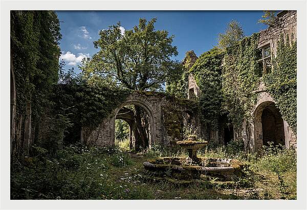 Abandoned Castle Courtyard