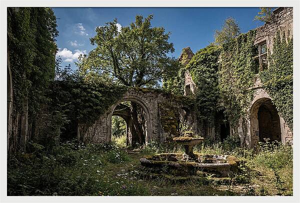 Abandoned Castle Courtyard