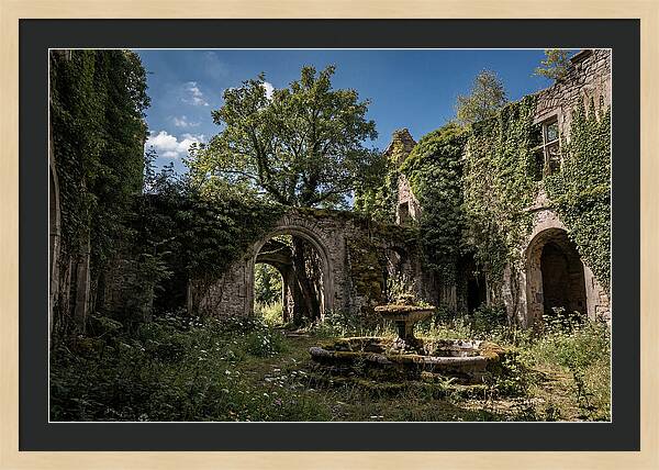 Abandoned Castle Courtyard