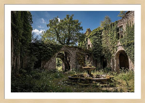 Abandoned Castle Courtyard