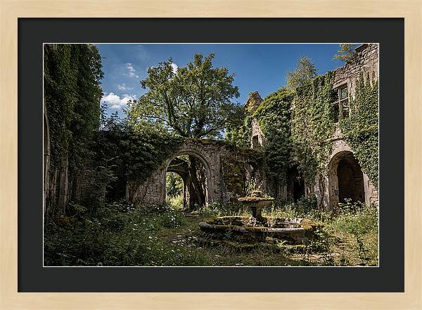 Abandoned Castle Courtyard