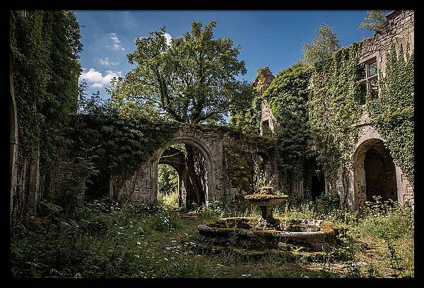 Abandoned Castle Courtyard