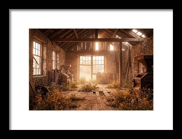 Abandoned Grain Mill Embraced By Nature