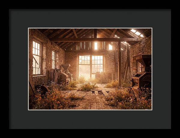Abandoned Grain Mill Embraced By Nature