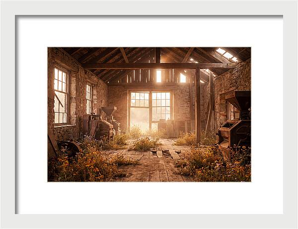 Abandoned Grain Mill Embraced By Nature
