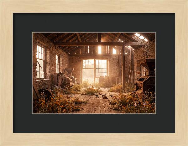 Abandoned Grain Mill Embraced By Nature