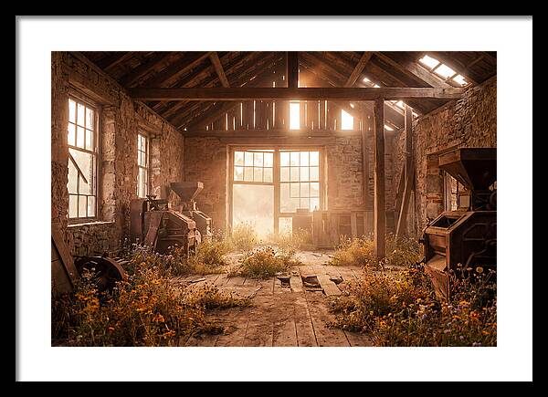 Abandoned Grain Mill Embraced By Nature