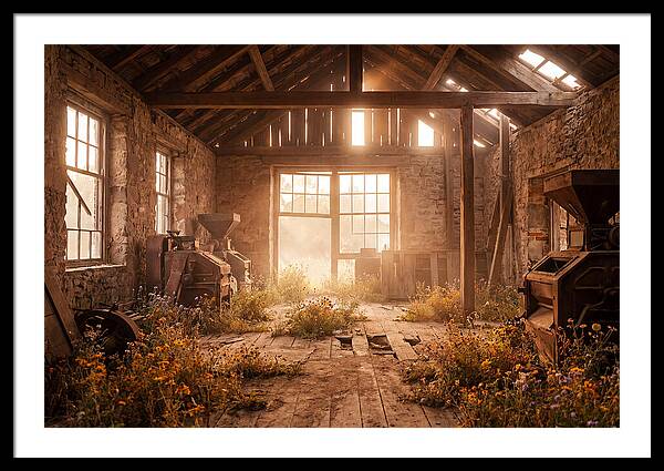 Abandoned Grain Mill Embraced By Nature