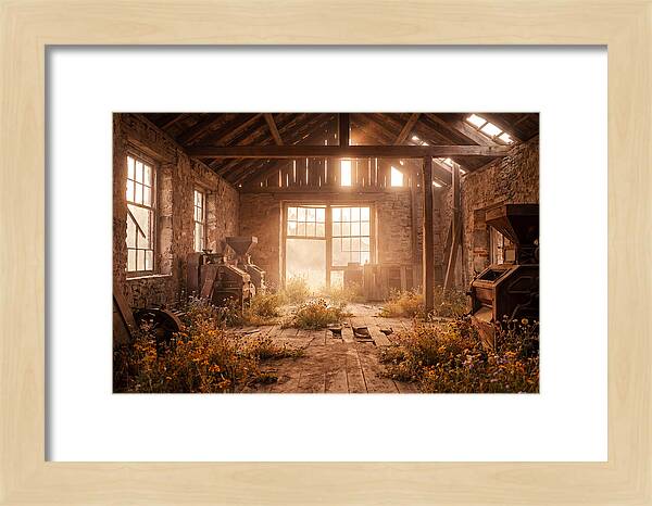 Abandoned Grain Mill Embraced By Nature