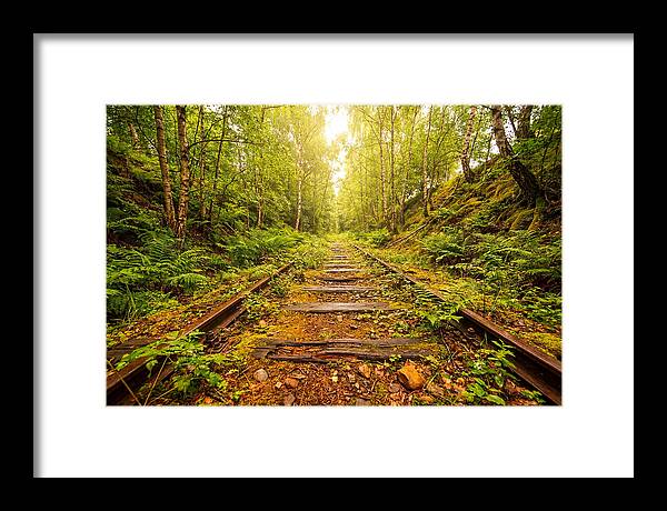 Abandoned Railway Cutting Reclaimed