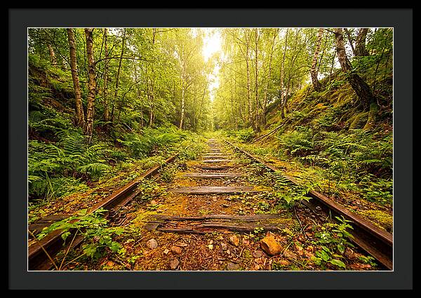 Abandoned Railway Cutting Reclaimed