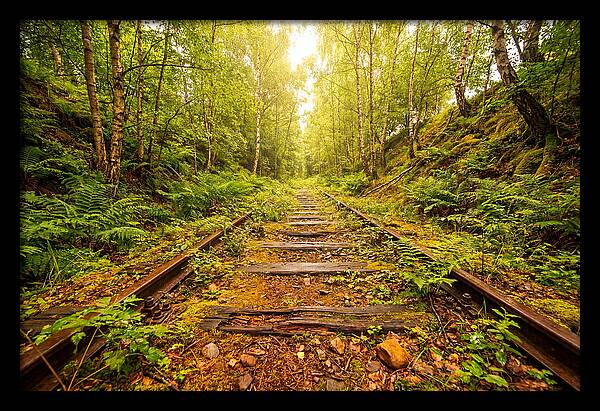 Abandoned Railway Cutting Reclaimed
