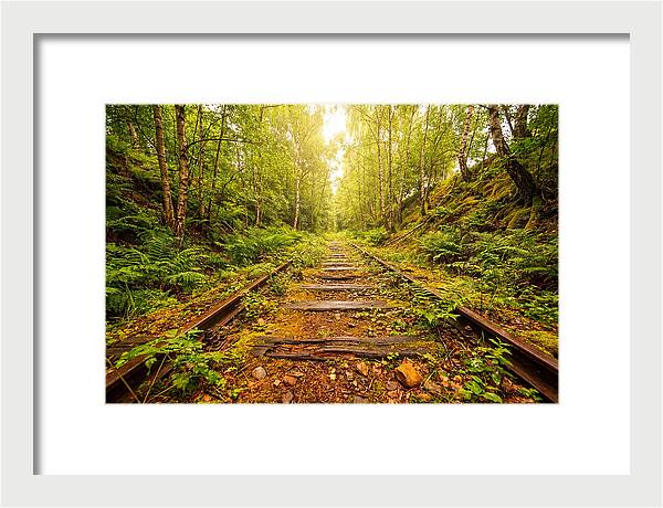 Abandoned Railway Cutting Reclaimed