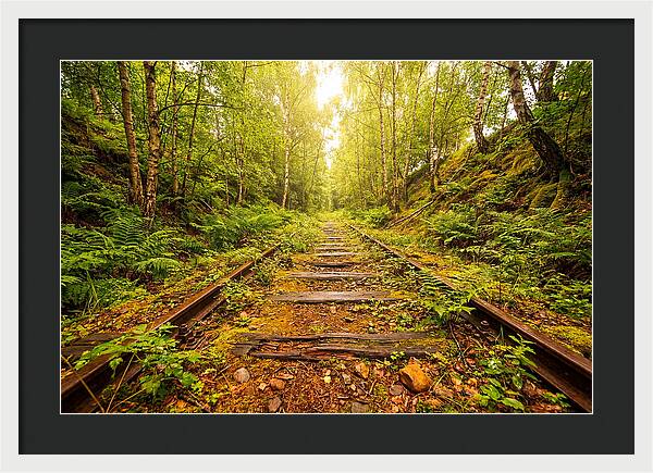 Abandoned Railway Cutting Reclaimed