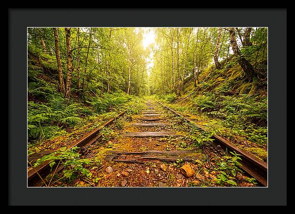 Abandoned Railway Cutting Reclaimed