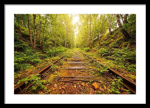 Abandoned Railway Cutting Reclaimed