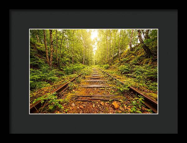 Abandoned Railway Cutting Reclaimed
