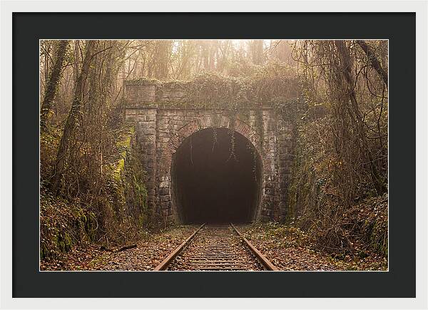 Abandoned Railway Tunnel Entrance