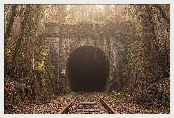 Abandoned Railway Tunnel Entrance