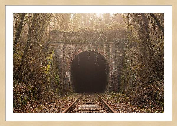 Abandoned Railway Tunnel Entrance